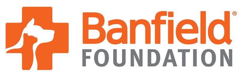 BARCS Animal Shelter Receives Lifesaving Investment for Keeping Pets With Families Program from the Banfield Foundation