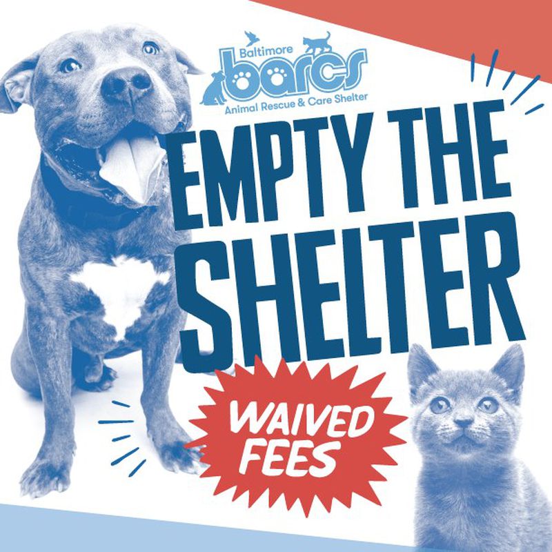 We're Moving! Help Us "Empty the Shelter"