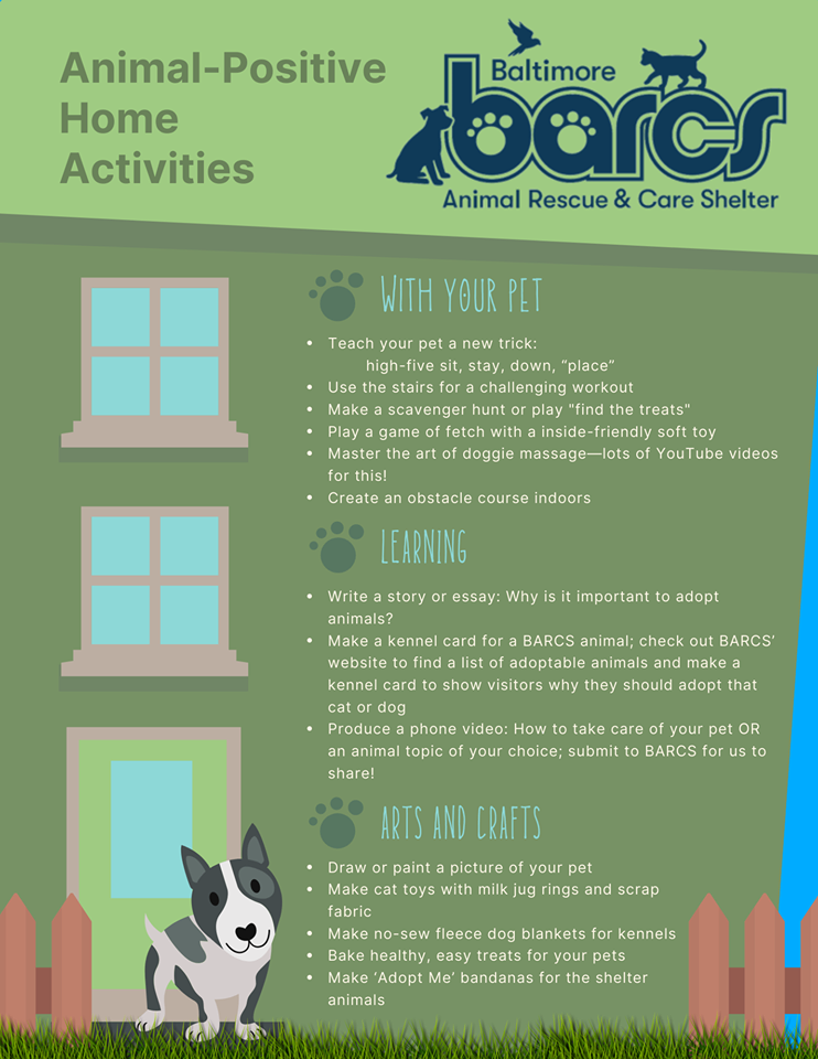 BARCS - Animal-Positive Home Activities